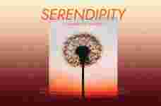 多乐器音序工具 Spitfire Audio Joshua Meltzer Serendipity KONTAKT